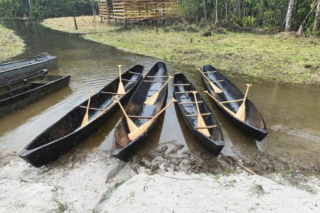 Some of the canoes that were constructed for the tourism experience
