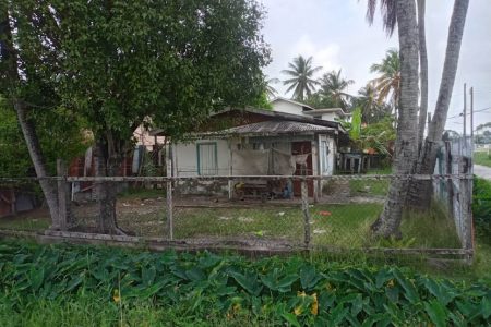The donated land (The Guyana Foundation photo)