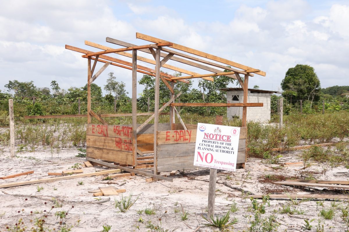 One of the squatters’ structures (CHPA photo)