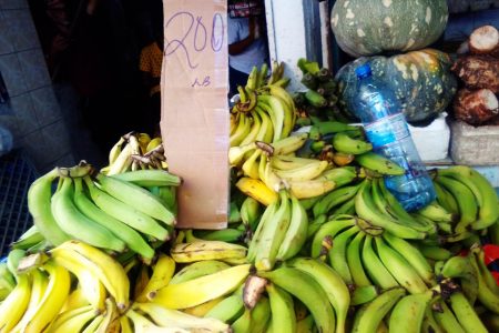 Smaller plantains being sold at the Stabroek Market
