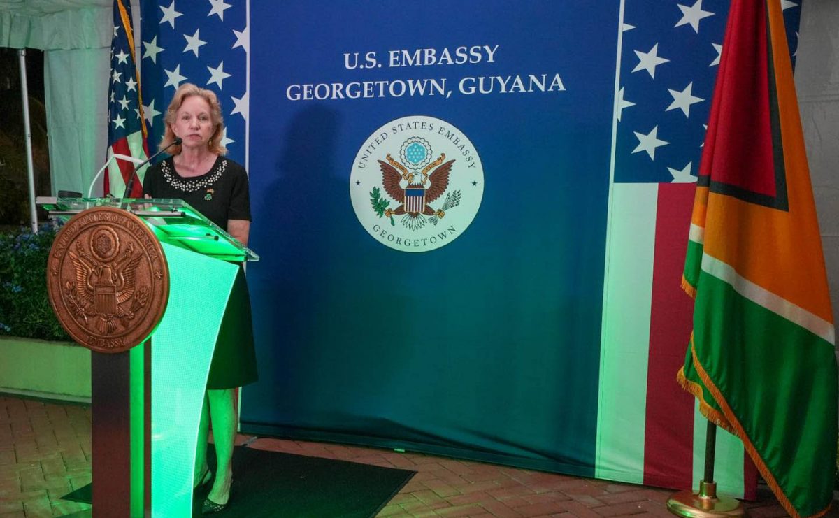 US Ambassador Sarah-Ann Lynch speaking on Friday at the reception (Office of the President photo)