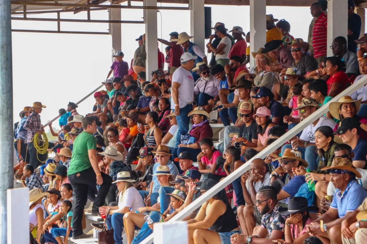 A scene from the rodeo (DPI photo)