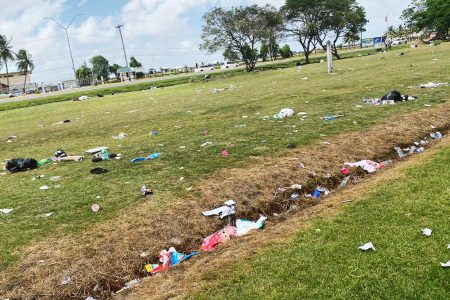 Garbage all over the National Park after Easter Monday.