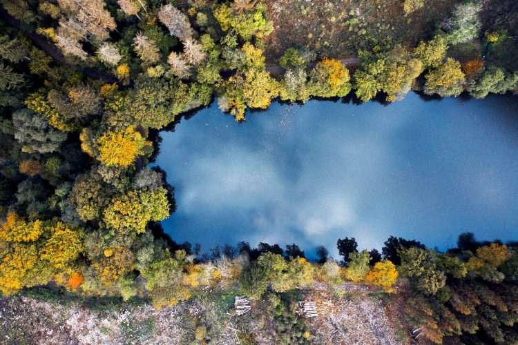 A lake reflecting the sky (Image by wirestock on Freepik)