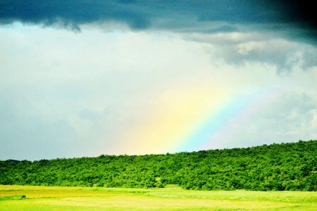 A rainbow (Wikimedia photo)