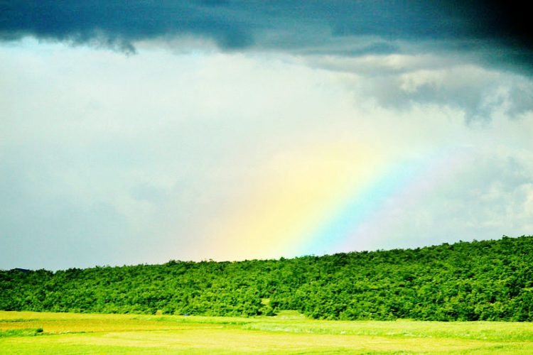 A rainbow (Wikimedia photo)