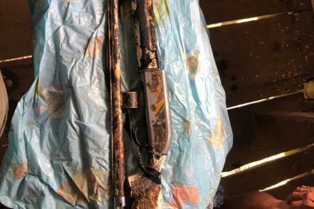 The 12-gauge shotgun that was recovered from the bush