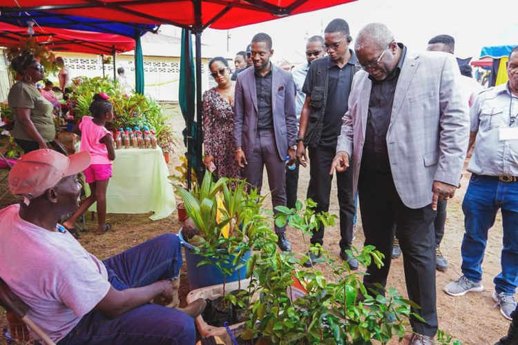 PM declares open Linden Town Week arts festival - Stabroek News