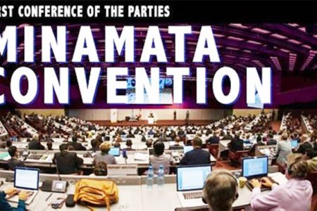 The Minamata Convention.