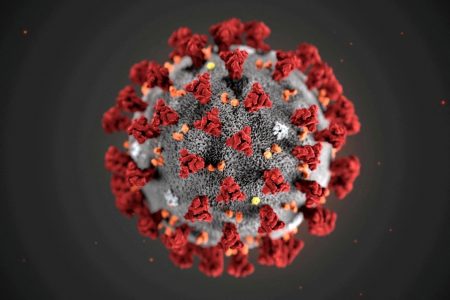 The ultrastructural morphology exhibited by the 2019 Novel Coronavirus is seen in an illustration released by the U.S.Centers for Disease Control and Prevention (CDC) in Atlanta, Georgia, U.S. January 29, 2020. Alissa Eckert, MS; Dan Higgins, MAM/CDC/Handout via REUTERS.