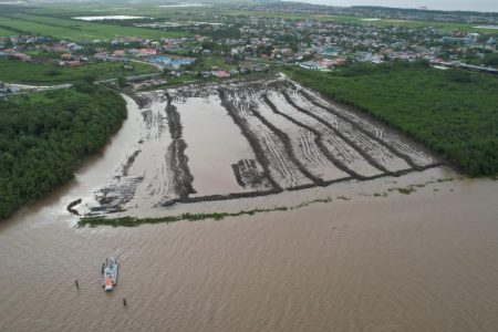 An aerial view of lands that were cleared of mangroves and vegetation (Caliper Drones Services photo)