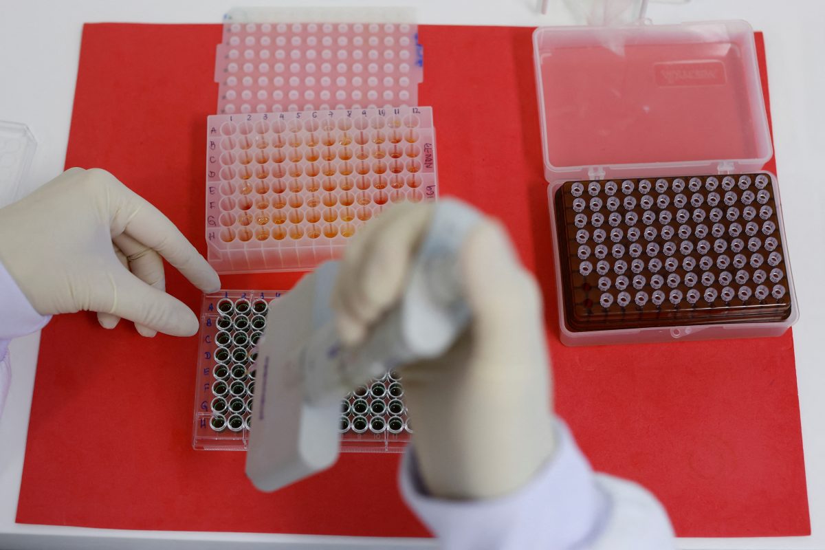 An employee dilutes poultry serum samples for ELISA test for the detection of antibodies to the avian influenza virus at the Reference Laboratory of the World Organization for Animal Health in Campinas, Brazil April 25, 2023. REUTERS/Amanda Perobelli