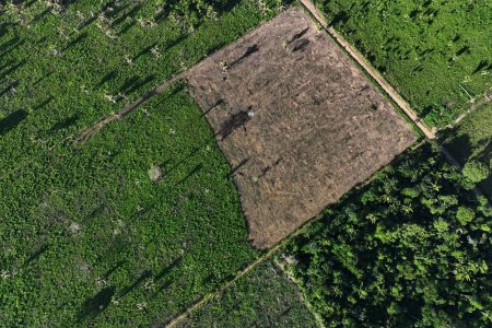 An aerial view shows a deforested area during an operation to combat deforestation at the Cachoeira Seca indigenous reserve, in Uruara, Para State, Brazil January 19, 2023. REUTERS/Ueslei Marcelino