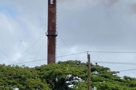 The Rose Hall Sugar Estate on Tuesday quickly garnered the attention of residents in East Canje Berbice as for the first time since its closure in 2017 smoke was seen emanating from its chimneys as testing continues with the management and staff gearing up for its reopening in the second crop of this year. 