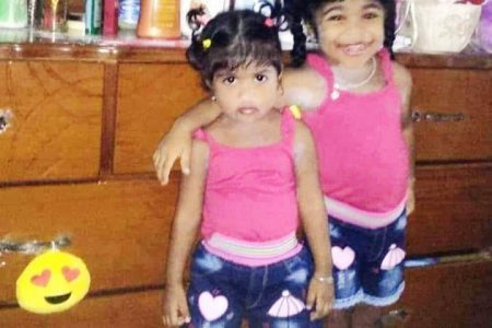 Dead: Siblings Anamika Hardat
and Shameena Hardat
