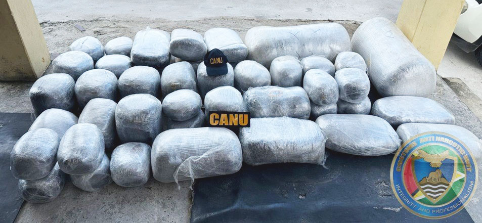 CANU unearths huge haul of cannabis at Number 65 Village - Stabroek News