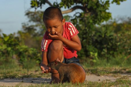 In this Luke McKenna’s photograph a young boy is seen tending to an agouti outside the Wichabai Ranch Eco-Lodge, Region 9. The photograph was entered in the Ministry of Tourism, Industry and Commerce’s 57th Anniversary of Independence photography competition.