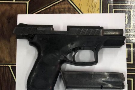 The 9 mm pistol and 15 live 9 mm rounds that were found 