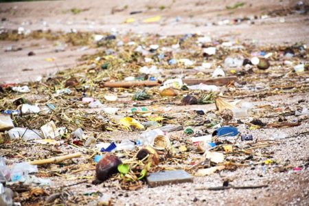 Indiscriminate dumping of plastics in Guyana has become both a health related concern and an environmental one