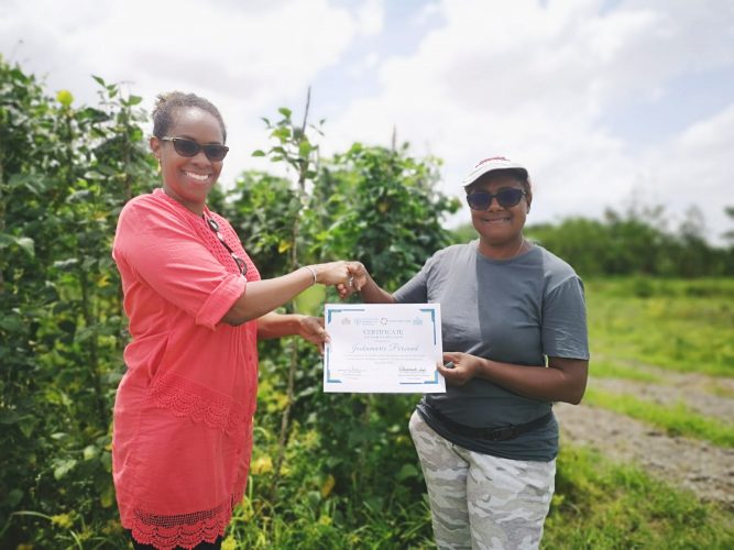 Jaikumarie Persaud (right) receiving her certificate from Dr. Gillian Smith, FAO Representative