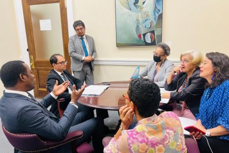 The meeting with the IACHR (Ministry of Foreign Affairs photo)