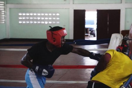 Joel Williamson (left) and Barbados’ Ju-Sean Shepherd were involved in a highly competitive sparring session yesterday at Camp Ayanganna’s Gym.