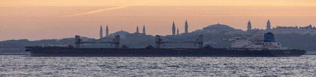 Asl Tia, a cargo vessel carrying Ukrainian grain, transits Bosphorus, in Istanbul, Turkey November 2, 2022. (Reuters photo)
