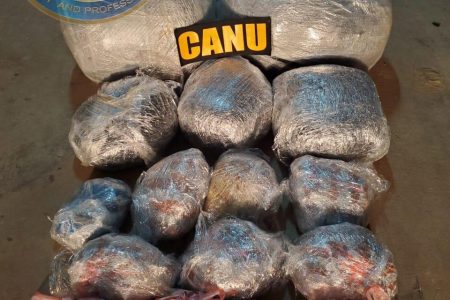 The 127 lbs of cannabis 