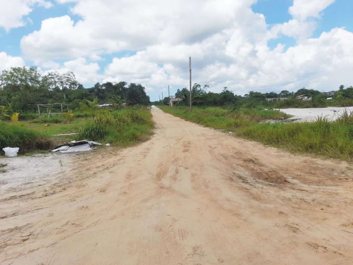 A section of Friendship Village where the transmission lines will pass through 