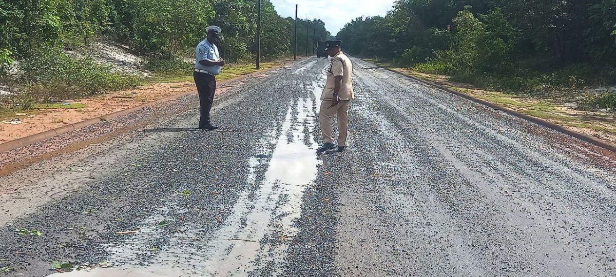 Police inspecting the roadway
