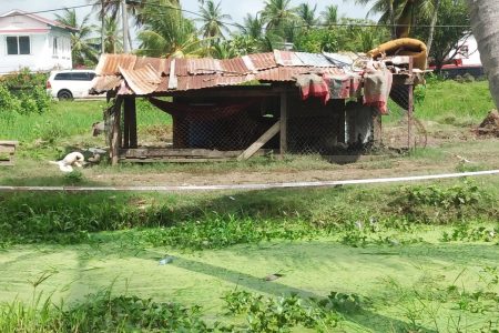 The shack where Leon Comb lived