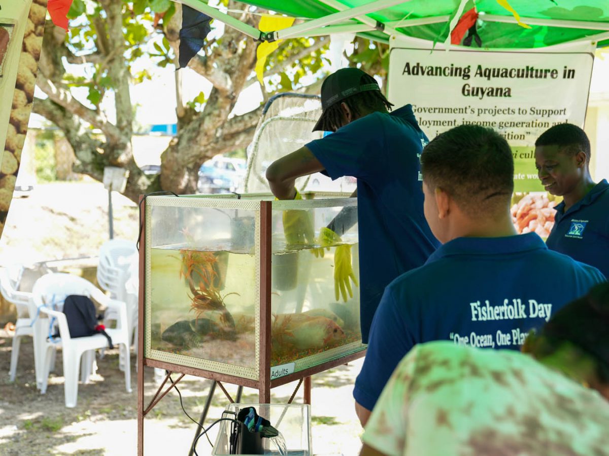 Aquaculture lessons (Ministry of Education photo)