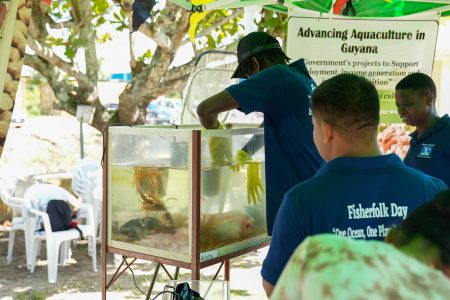 Aquaculture lessons (Ministry of Education photo)