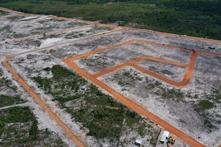 An aerial view of the land (CHPA photo)