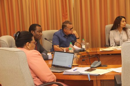 Minister of Foreign Affairs and International Cooperation, Hugh Todd  (second from left) at the meeting
