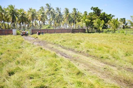 The pasture that will be rehabilitated