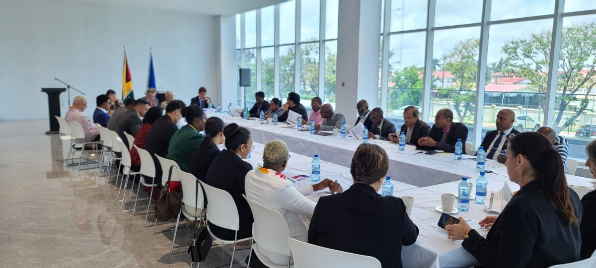 The roundtable meeting (Delegation of the European Union to Guyana photo)

