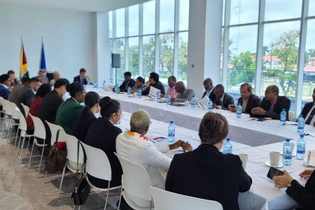 The roundtable meeting (Delegation of the European Union to Guyana photo)
