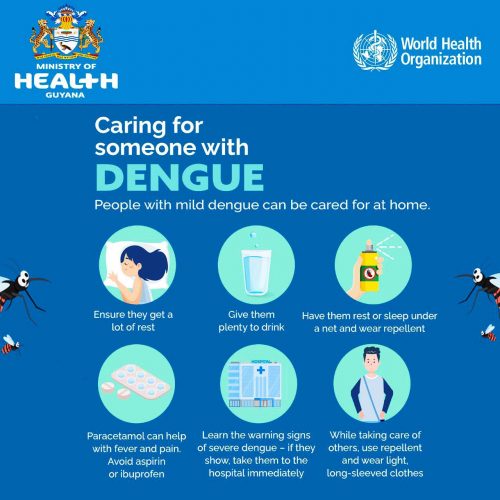 Eleven deaths from dengue so far this year - ministry - Stabroek News