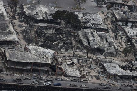 Devastation after the fires (Reuters photo)