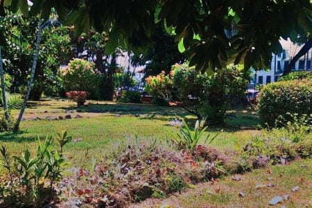 The interior of the Promenade Gardens