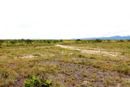 The area where work is being done. (CHPA photo)
