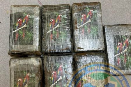 The cocaine that was seized (CANU photo)
