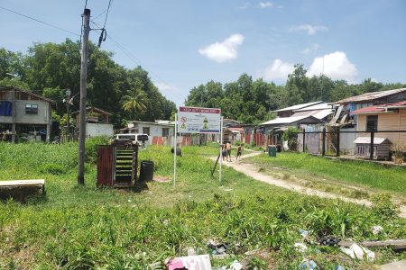 Some of the houses that are located at the entrance of the swamp
