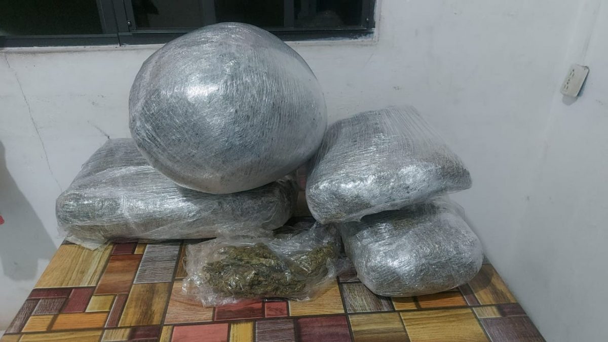 The suspected ganja that was found (Police photo)