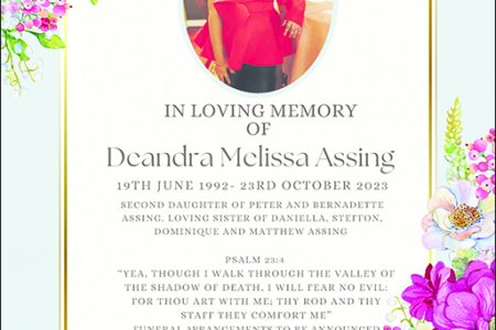 Deandra Melissa Assing