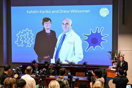 A screen at the Karolinska Institute shows this year's laureates Katalin Kariko of Hungary (L) and Drew Weissman of the US during the announcement of the winners of the 2023 Nobel Prize in Physiology or Medicine at the Karolinska Institute in Stockholm on October 2, 2023. Katalin Kariko of Hungary and Drew Weissman of the US won the Nobel Medicine Prize on Monday for work on messenger RNA (mRNA) technology that paved the way for the Pfizer/BioNTech and Moderna Covid-19 vaccines. (Photo by Jonathan NACKSTRAND / AFP)