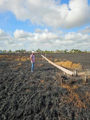 The fire damage (GPL photo)