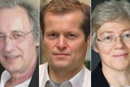 From left are: Pierre Agostini, Ferenc Krausz and Anne L'Huillier. Ohio State University/Max Planck Institute of Quantum Optics/National Academy of Sciences