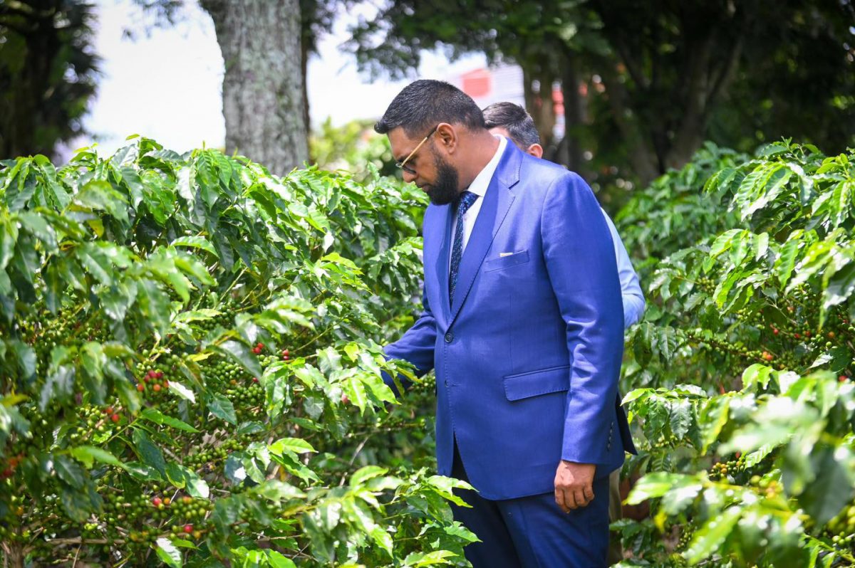President Irfaan Ali touring the Coffee Institute of Costa Rica (Office of the President photo)